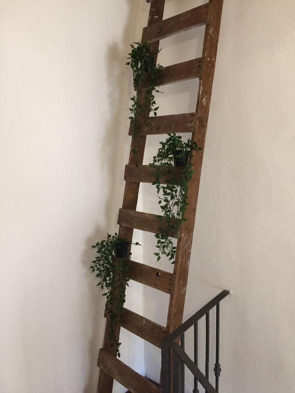 B&B La Corte San Francesco Bari Eksteriør billede